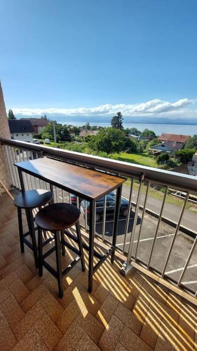 Appart Cosy Avec Vue Sur Le Lac Leman Évian-les-Bains Exteriér fotografie